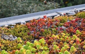 the cost of Balsham green roof installation