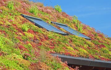 Balsham living roof systems