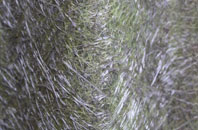 Balsham fibreglass roof work